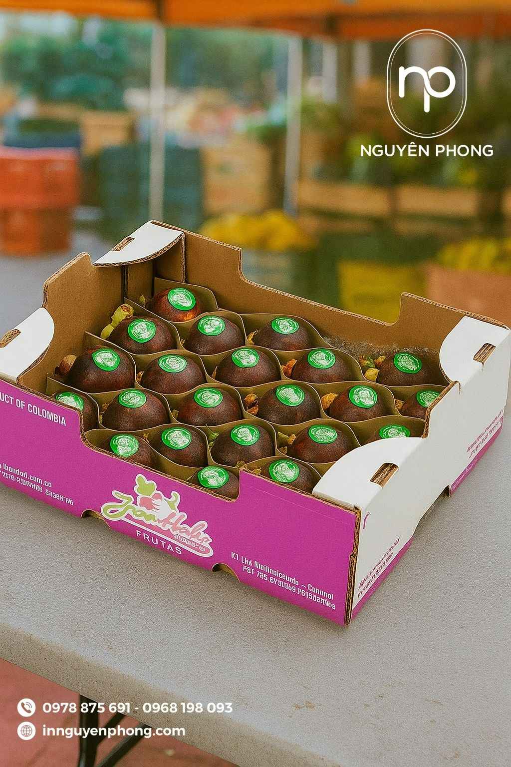 Mẫu thùng carton đựng măng cụt chia ngăn 